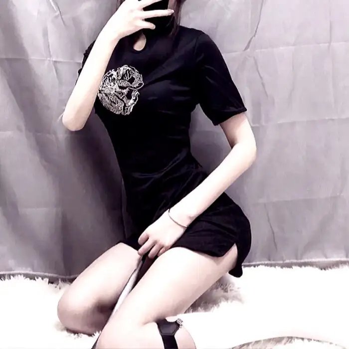 完美的独裁国家